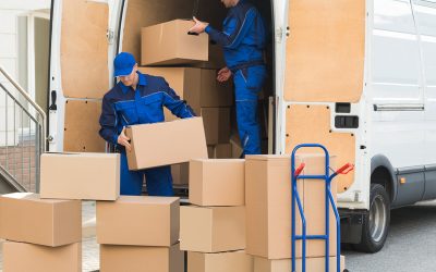  Cargo India Packers and Movers Kerala